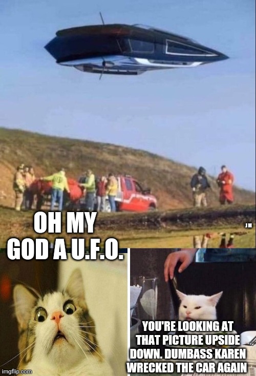 OH MY GOD A U.F.O. J M; YOU'RE LOOKING AT THAT PICTURE UPSIDE DOWN. DUMBASS KAREN WRECKED THE CAR AGAIN | image tagged in smudge the cat | made w/ Imgflip meme maker