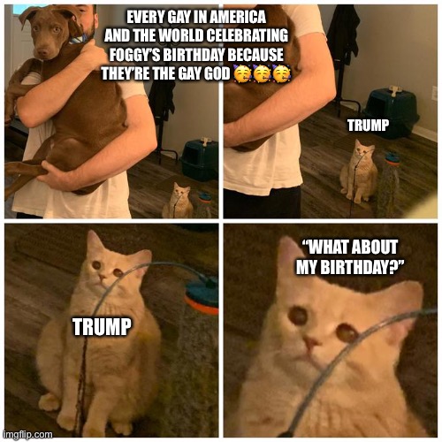 It’s my birthdayyyyyyy, 14th June | EVERY GAY IN AMERICA AND THE WORLD CELEBRATING FOGGY’S BIRTHDAY BECAUSE THEY’RE THE GAY GOD 🥳🥳🥳; TRUMP; “WHAT ABOUT MY BIRTHDAY?”; TRUMP | image tagged in sad cat dog hold | made w/ Imgflip meme maker