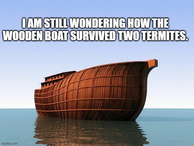 Two Termites and a Wooden Boat | I AM STILL WONDERING HOW THE WOODEN BOAT SURVIVED TWO TERMITES. | image tagged in noah's climate ark,termites,noah | made w/ Imgflip meme maker