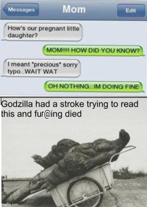 Pregnant mistake | image tagged in godzilla,pregnant,mom | made w/ Imgflip meme maker