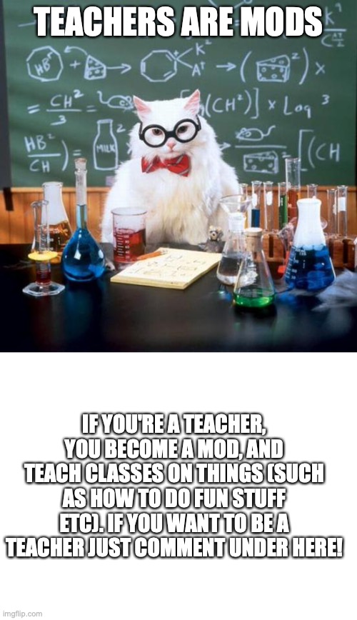 Teachers | TEACHERS ARE MODS; IF YOU'RE A TEACHER, YOU BECOME A MOD, AND TEACH CLASSES ON THINGS (SUCH AS HOW TO DO FUN STUFF ETC). IF YOU WANT TO BE A TEACHER JUST COMMENT UNDER HERE! | image tagged in memes,chemistry cat,blank white template | made w/ Imgflip meme maker