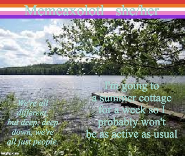 the wifi there sucks | I'm going to a summer cottage for a week so I probably won't be as active as usual | image tagged in memeaxolotl | made w/ Imgflip meme maker