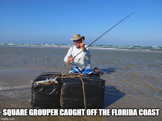 Square Grouper caught off the Florida coast. | SQUARE GROUPER CAUGHT OFF THE FLORIDA COAST | image tagged in florida,florida fishing,marijuana | made w/ Imgflip meme maker
