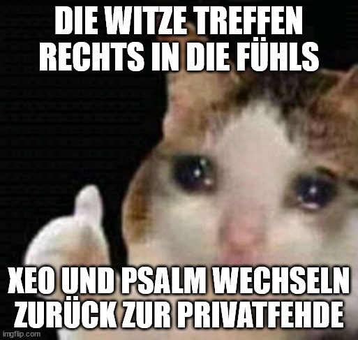 sad thumbs up cat | DIE WITZE TREFFEN RECHTS IN DIE FÜHLS; XEO UND PSALM WECHSELN ZURÜCK ZUR PRIVATFEHDE | image tagged in sad thumbs up cat | made w/ Imgflip meme maker