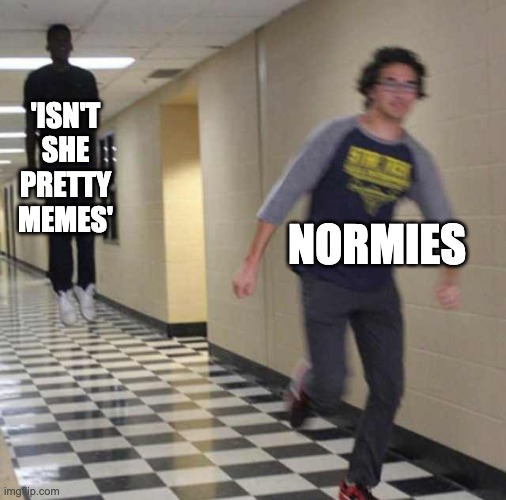 'isn't she pretty memes' | 'ISN'T SHE PRETTY MEMES'; NORMIES | image tagged in floating boy chasing running boy,anime | made w/ Imgflip meme maker
