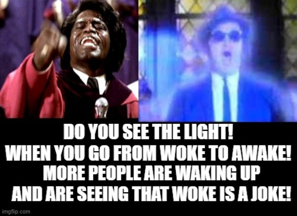 Do you see the light? | image tagged in woke,joke,morons,idiots | made w/ Imgflip meme maker