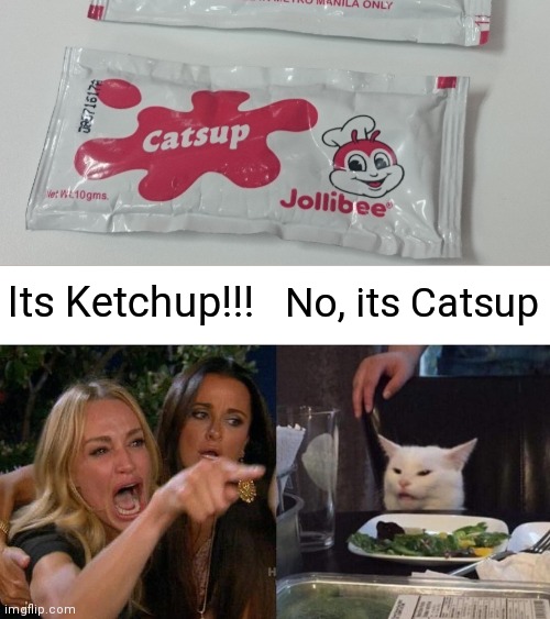 Woman Yelling At Cat | Its Ketchup!!! No, its Catsup | image tagged in memes,woman yelling at cat,jollibee | made w/ Imgflip meme maker