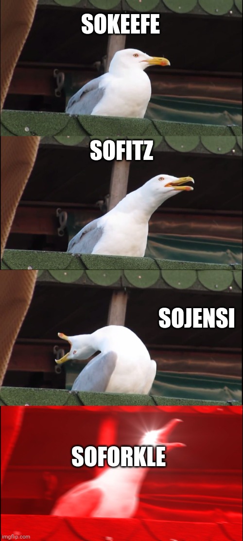Inhaling Seagull Meme | SOKEEFE; SOFITZ; SOJENSI; SOFORKLE | image tagged in memes,inhaling seagull | made w/ Imgflip meme maker