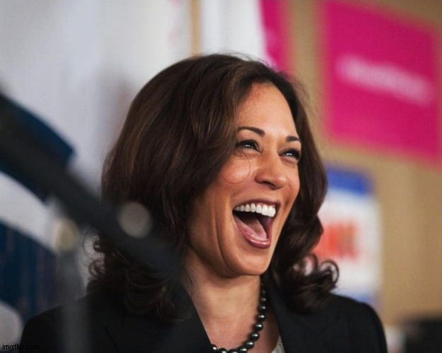 cackling kamala harris | image tagged in cackling kamala harris | made w/ Imgflip meme maker