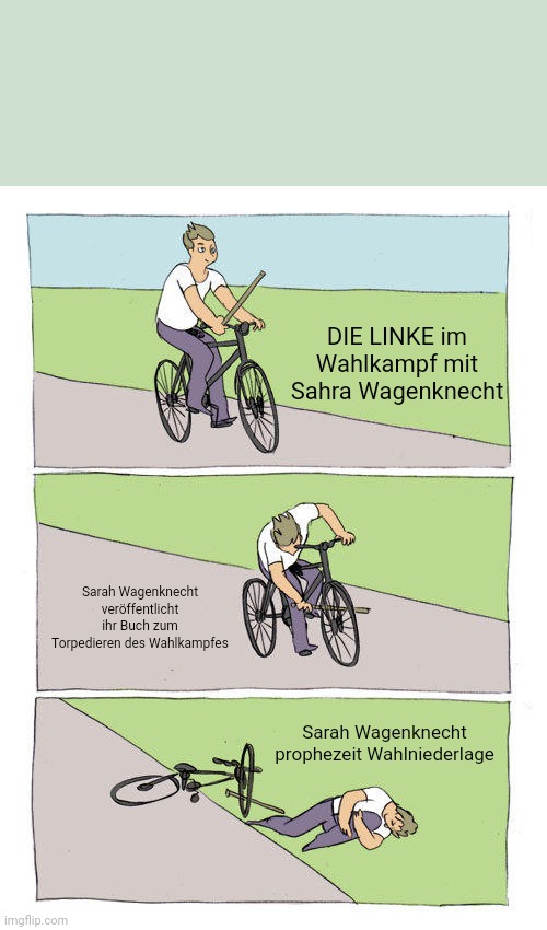 Bike Fall Meme | DIE LINKE im Wahlkampf mit Sahra Wagenknecht; Sarah Wagenknecht veröffentlicht ihr Buch zum Torpedieren des Wahlkampfes; Sarah Wagenknecht prophezeit Wahlniederlage | image tagged in memes,bike fall | made w/ Imgflip meme maker