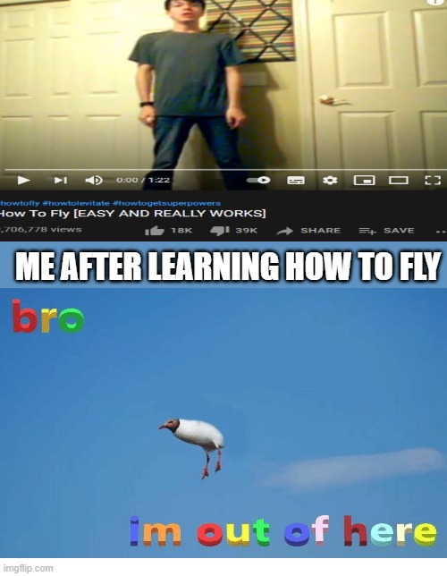 Bro I'm out of here | ME AFTER LEARNING HOW TO FLY | image tagged in bro i'm out of here | made w/ Imgflip meme maker