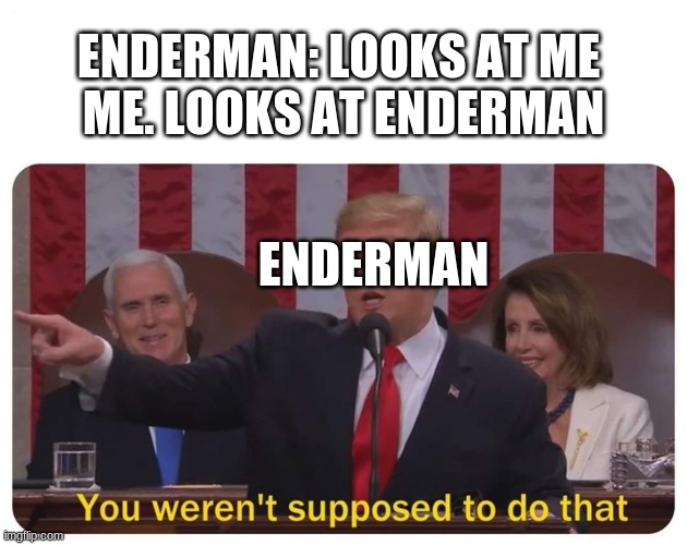 you werent supposed to do that | ENDERMAN: LOOKS AT ME 
ME. LOOKS AT ENDERMAN; ENDERMAN | image tagged in you werent supposed to do that | made w/ Imgflip meme maker