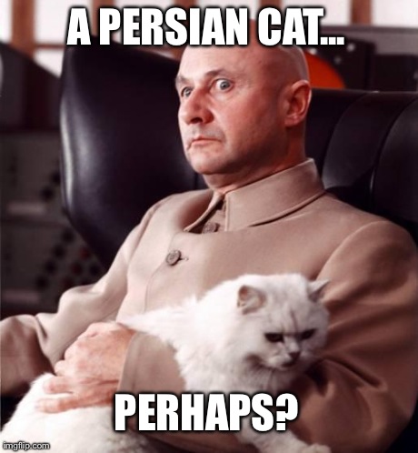 A PERSIAN CAT... PERHAPS? | made w/ Imgflip meme maker