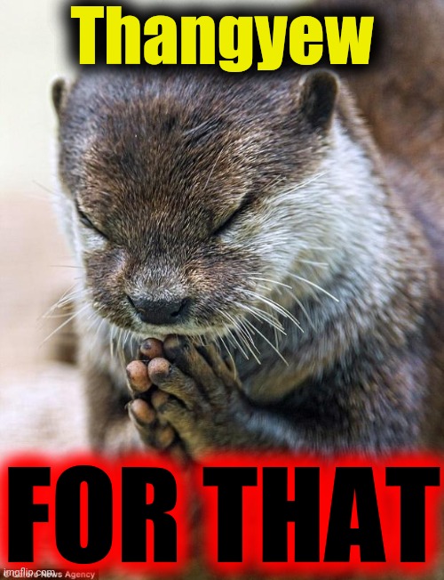 Thank you Lord Otter | Thangyew FOR THAT | image tagged in thank you lord otter | made w/ Imgflip meme maker