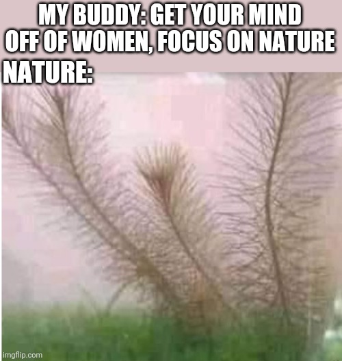 MY BUDDY: GET YOUR MIND OFF OF WOMEN, FOCUS ON NATURE; NATURE: | image tagged in funny memes | made w/ Imgflip meme maker