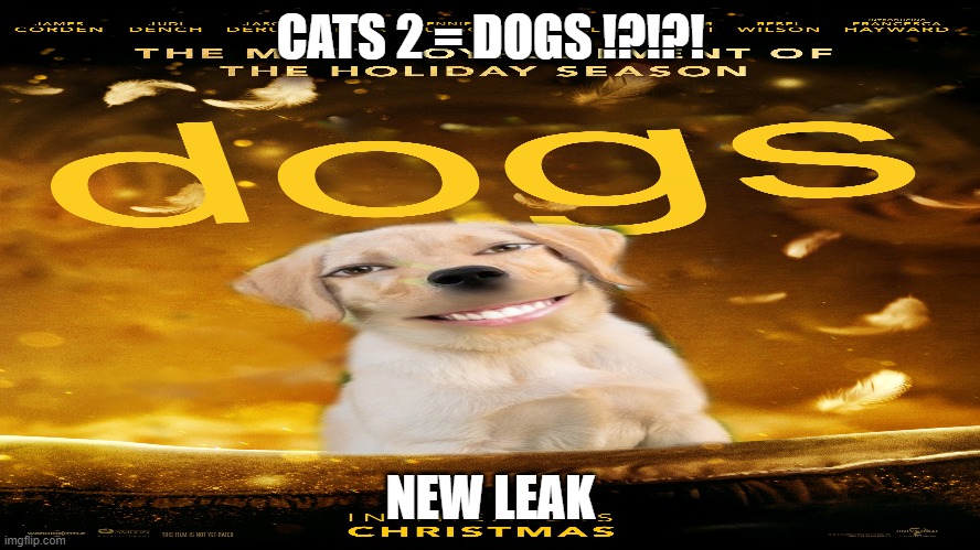 cats 2 = dogs | CATS 2 = DOGS !?!?! NEW LEAK | image tagged in dogs,funny,movies | made w/ Imgflip meme maker