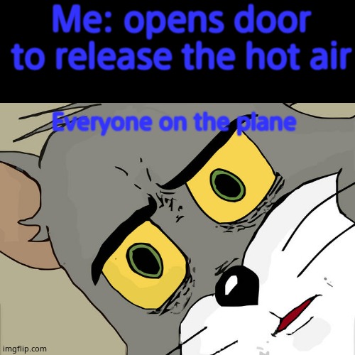 Bruh moment | Me: opens door to release the hot air; Everyone on the plane | image tagged in unsettled tom | made w/ Imgflip meme maker