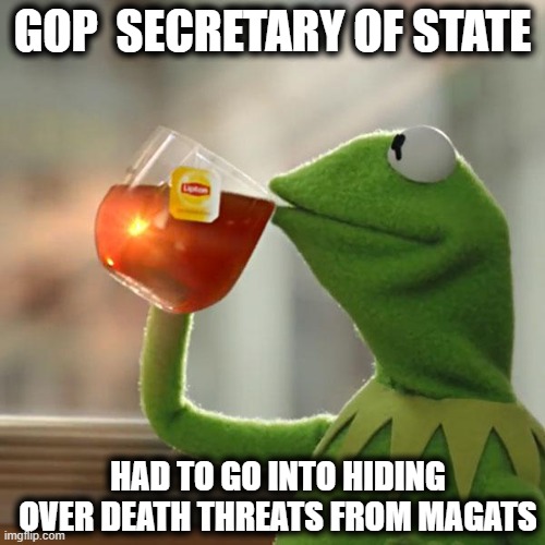 Its time to shut trump and his whackjob facist fans up. | GOP  SECRETARY OF STATE; HAD TO GO INTO HIDING OVER DEATH THREATS FROM MAGATS | image tagged in memes,but that's none of my business,politics,election 2020,traitors,maga | made w/ Imgflip meme maker