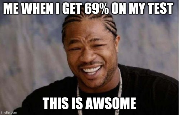 6669696969969696969969696969699696969696996969699% | ME WHEN I GET 69% ON MY TEST; THIS IS AWSOME | image tagged in memes,yo dawg heard you | made w/ Imgflip meme maker