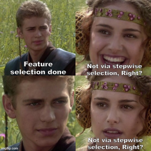 Not via Stepwise selection, right? | Feature selection done; Not via stepwise selection, Right? Not via stepwise selection, Right? | image tagged in for the better right blank | made w/ Imgflip meme maker