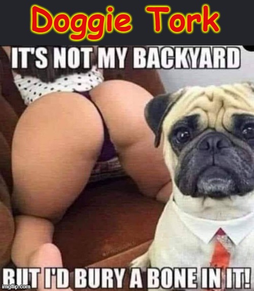 Doggie Tork | Doggie Tork | image tagged in boner | made w/ Imgflip meme maker