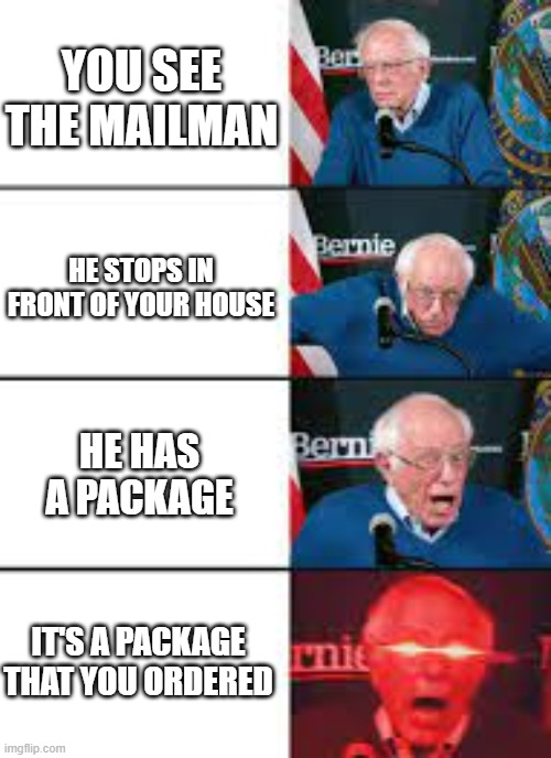 YOU SEE THE MAILMAN; HE STOPS IN FRONT OF YOUR HOUSE; HE HAS A PACKAGE; IT'S A PACKAGE THAT YOU ORDERED | image tagged in relatable | made w/ Imgflip meme maker