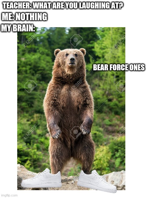 bear force ones | TEACHER: WHAT ARE YOU LAUGHING AT? ME: NOTHING; MY BRAIN:; BEAR FORCE ONES | image tagged in blank white template,memes,funny,teacher what are you laughing at | made w/ Imgflip meme maker