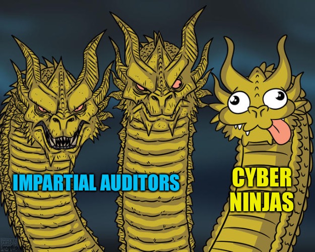 Three-headed Dragon | CYBER
NINJAS; IMPARTIAL AUDITORS | image tagged in three-headed dragon | made w/ Imgflip meme maker