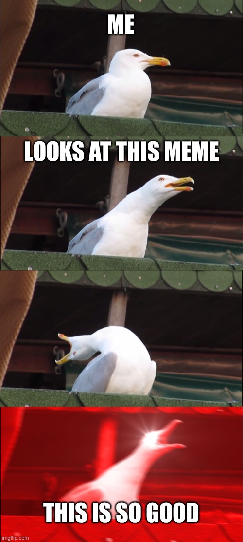 Inhaling Seagull Meme | ME LOOKS AT THIS MEME THIS IS SO GOOD | image tagged in memes,inhaling seagull | made w/ Imgflip meme maker