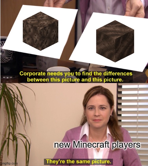 soul sand meme and soul soil | new Minecraft players | image tagged in memes,they're the same picture | made w/ Imgflip meme maker