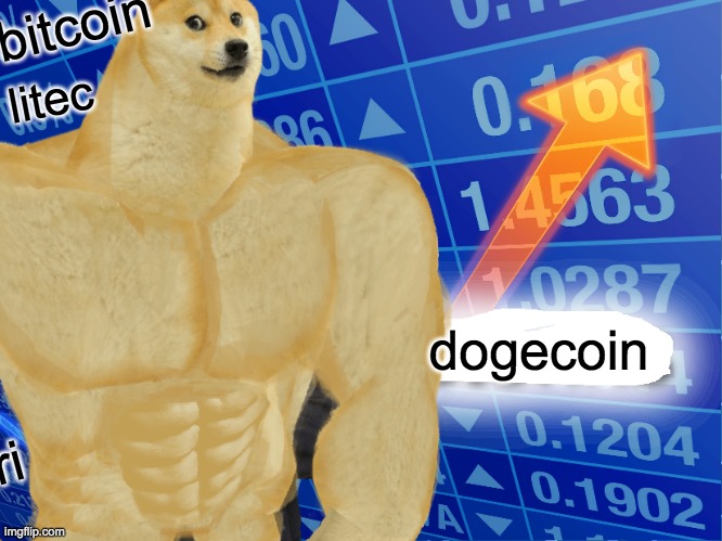 bitcoin; litec; dogecoin; ri | image tagged in memes,funny,gifs,repost,dogecoin | made w/ Imgflip meme maker