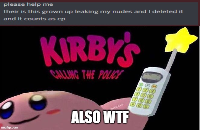 What in the holy duckheck did I got in my dms today | ALSO WTF | image tagged in kirby's calling the police | made w/ Imgflip meme maker