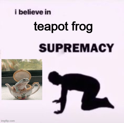 I believe in teapot frog supremacy | teapot frog | image tagged in i believe in supremacy | made w/ Imgflip meme maker