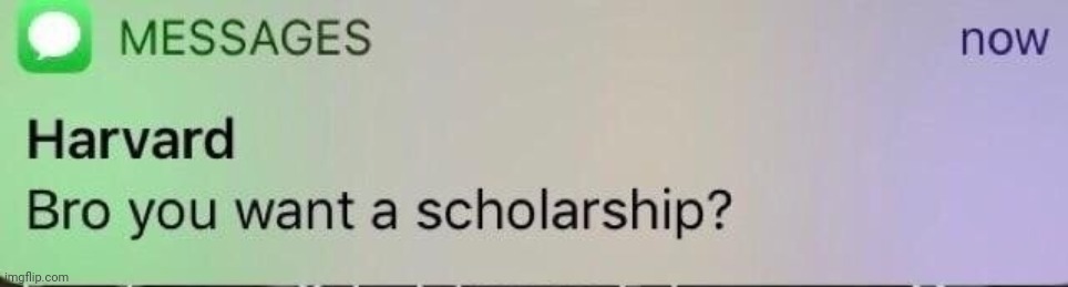 Harvard Scholarship | image tagged in harvard scholarship | made w/ Imgflip meme maker