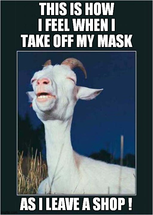 Unmasking Relief ! | THIS IS HOW I FEEL WHEN I TAKE OFF MY MASK; AS I LEAVE A SHOP ! | image tagged in face mask,masks,goat,relief | made w/ Imgflip meme maker