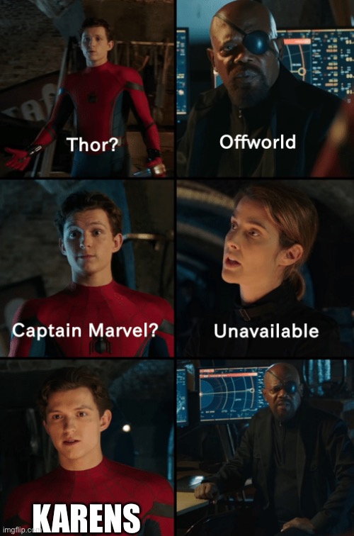 Thor off-world captain marvel unavailable | KARENS | image tagged in thor off-world captain marvel unavailable | made w/ Imgflip meme maker