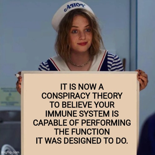 white blood cell supremacy | IT IS NOW A CONSPIRACY THEORY TO BELIEVE YOUR IMMUNE SYSTEM IS CAPABLE OF PERFORMING THE FUNCTION IT WAS DESIGNED TO DO. | image tagged in robin stranger things meme,coronavirus,conspiracy theory | made w/ Imgflip meme maker