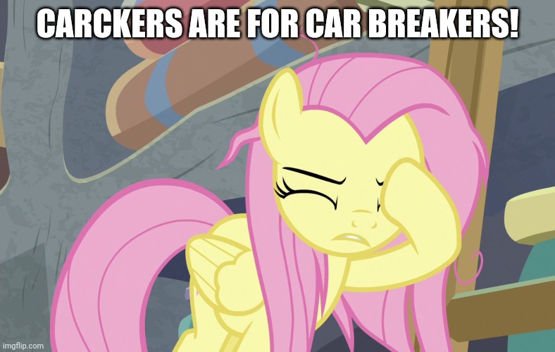 CARCKERS ARE FOR CAR BREAKERS! | made w/ Imgflip meme maker