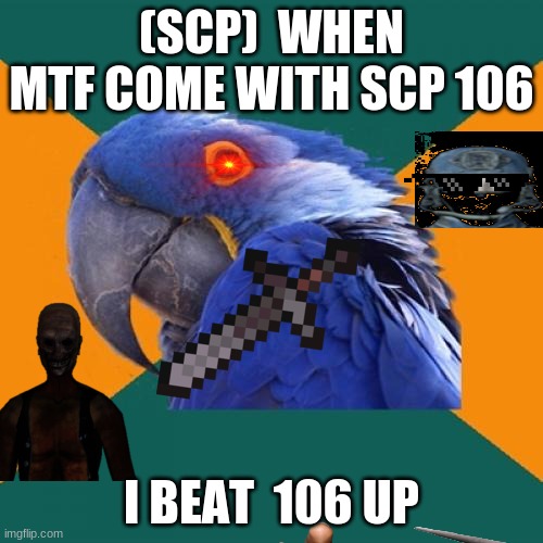 Paranoid Parrot Meme | (SCP)  WHEN MTF COME WITH SCP 106; I BEAT  106 UP | image tagged in memes,paranoid parrot | made w/ Imgflip meme maker