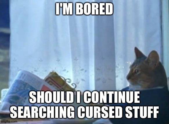 I Should Buy A Boat Cat Meme | I'M BORED; SHOULD I CONTINUE SEARCHING CURSED STUFF | image tagged in memes,i should buy a boat cat | made w/ Imgflip meme maker
