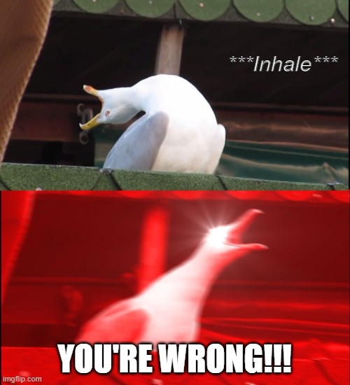 Screaming bird | ***Inhale*** YOU'RE WRONG!!! | image tagged in screaming bird | made w/ Imgflip meme maker