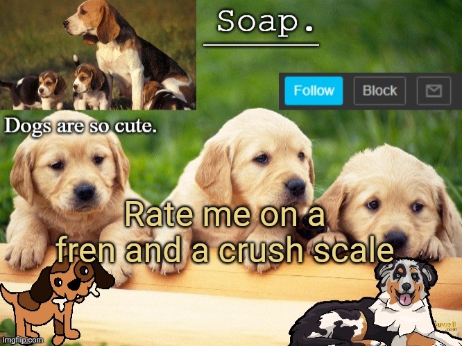 Soap doggo temp | Rate me on a fren and a crush scale | image tagged in soap doggo temp ty yachi | made w/ Imgflip meme maker