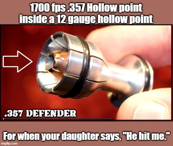 1700 fps .357 Hollow point inside a 12 gauge hollow point; For when your daughter says, "He hit me." | image tagged in guns,ammo | made w/ Imgflip meme maker