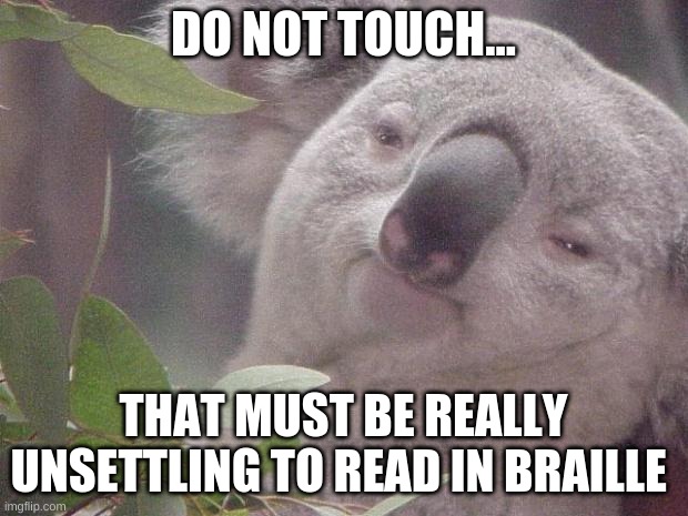 I wonder how they feel! | DO NOT TOUCH... THAT MUST BE REALLY UNSETTLING TO READ IN BRAILLE | image tagged in dank koala,funny,fun,memes,blind,braille | made w/ Imgflip meme maker