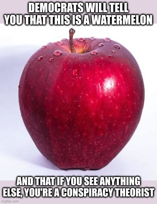 Democratic Logic 101 | DEMOCRATS WILL TELL YOU THAT THIS IS A WATERMELON; AND THAT IF YOU SEE ANYTHING ELSE, YOU'RE A CONSPIRACY THEORIST | image tagged in democrats,apple,watermelon,political meme,conspiracy theory | made w/ Imgflip meme maker