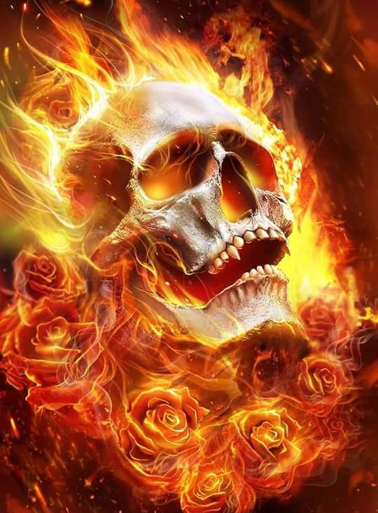 flaming skull roses Blank Meme Template