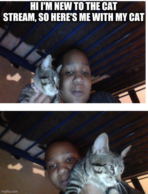 hi | HI I'M NEW TO THE CAT STREAM, SO HERE'S ME WITH MY CAT | image tagged in blank white template | made w/ Imgflip meme maker