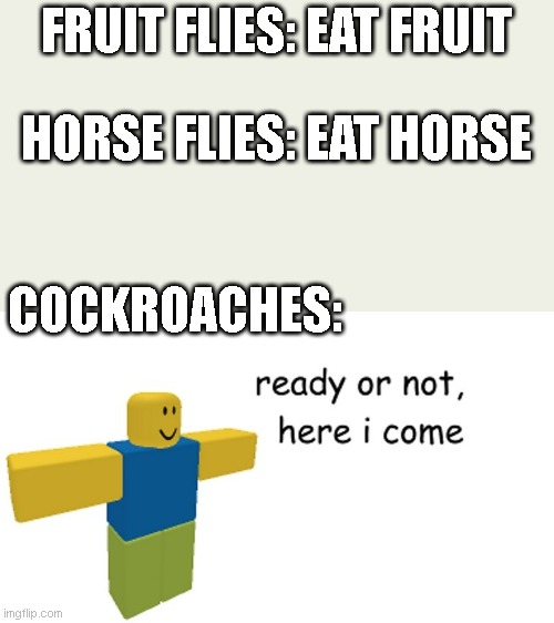 ready or not (roblox noob) | FRUIT FLIES: EAT FRUIT; HORSE FLIES: EAT HORSE; COCKROACHES: | image tagged in ready or not roblox noob | made w/ Imgflip meme maker