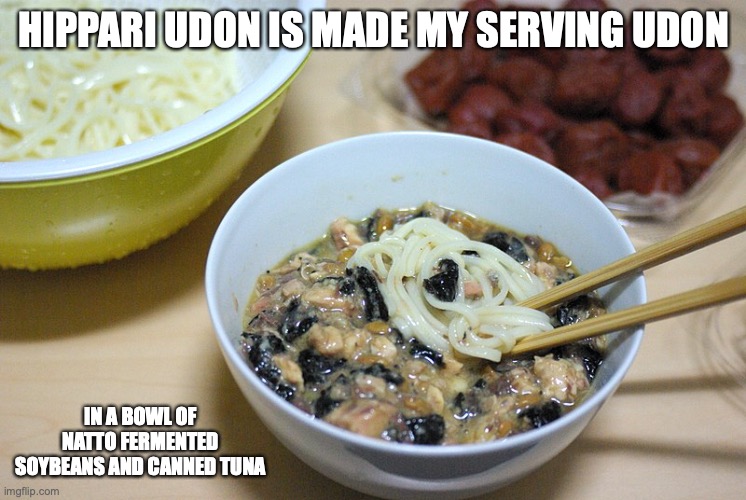Hippari Udon | HIPPARI UDON IS MADE MY SERVING UDON; IN A BOWL OF NATTO FERMENTED SOYBEANS AND CANNED TUNA | image tagged in noodles,food,memes | made w/ Imgflip meme maker