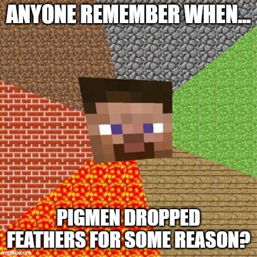 If you played about 5, 6, years ago, you probably remember this. | ANYONE REMEMBER WHEN... PIGMEN DROPPED FEATHERS FOR SOME REASON? | image tagged in minecraft steve | made w/ Imgflip meme maker